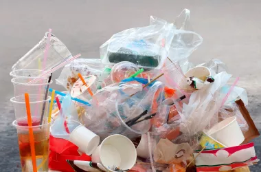 28 кг отходов пластика в год приходится на каждого жителя Беларуси